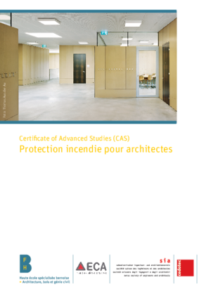 Flyer web